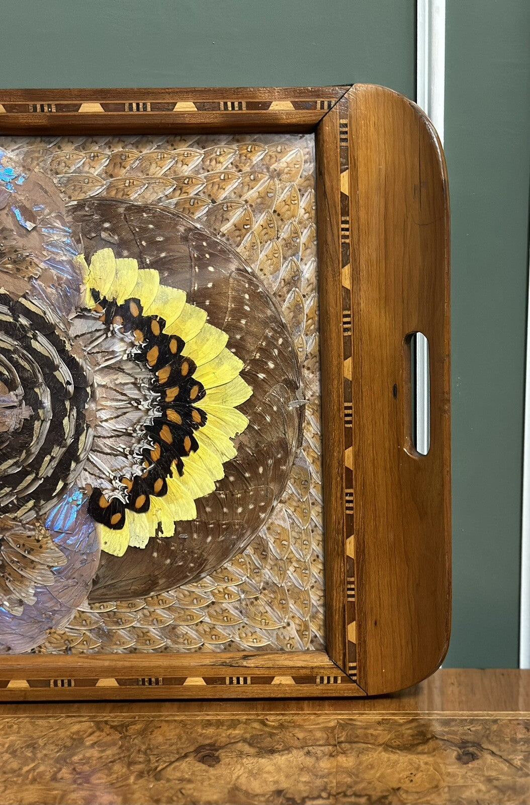 1940'S BRAZILIAN INLAID WOOD TRAY WITH REAL MORPHO BUTTERFLY WINGS