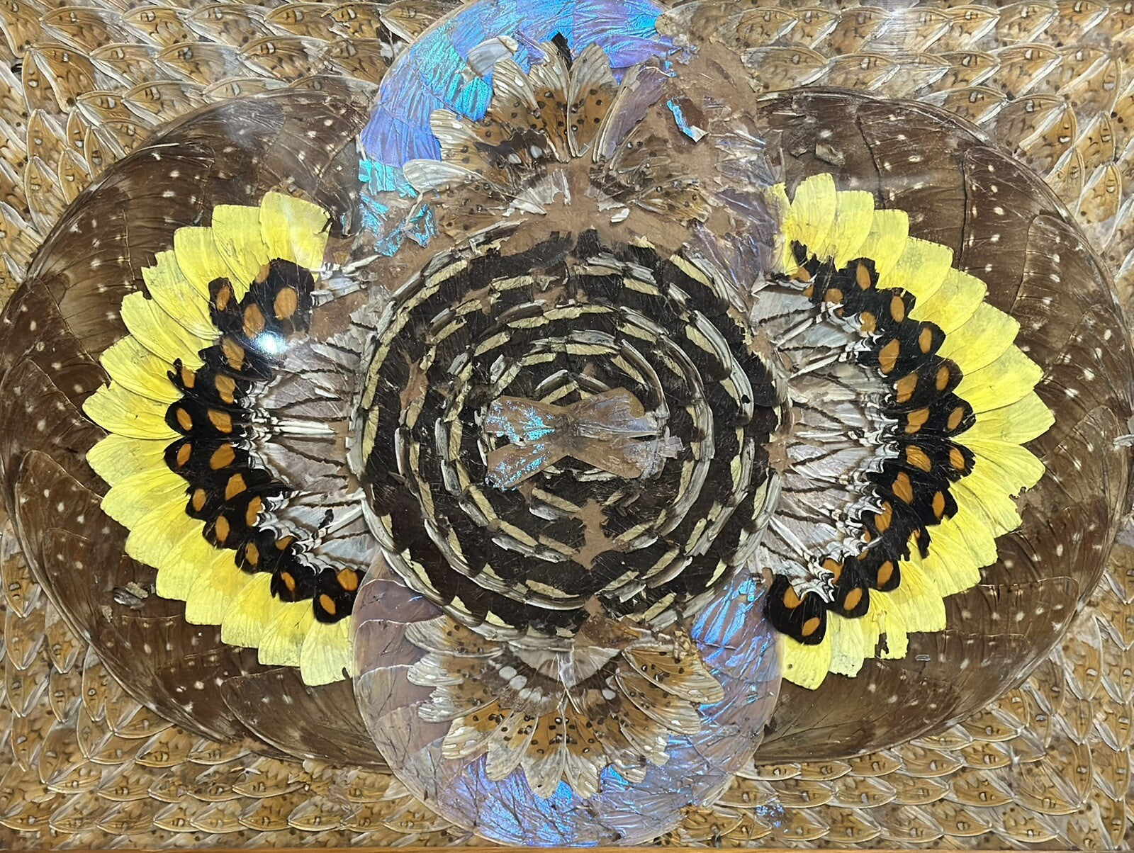 1940'S BRAZILIAN INLAID WOOD TRAY WITH REAL MORPHO BUTTERFLY WINGS